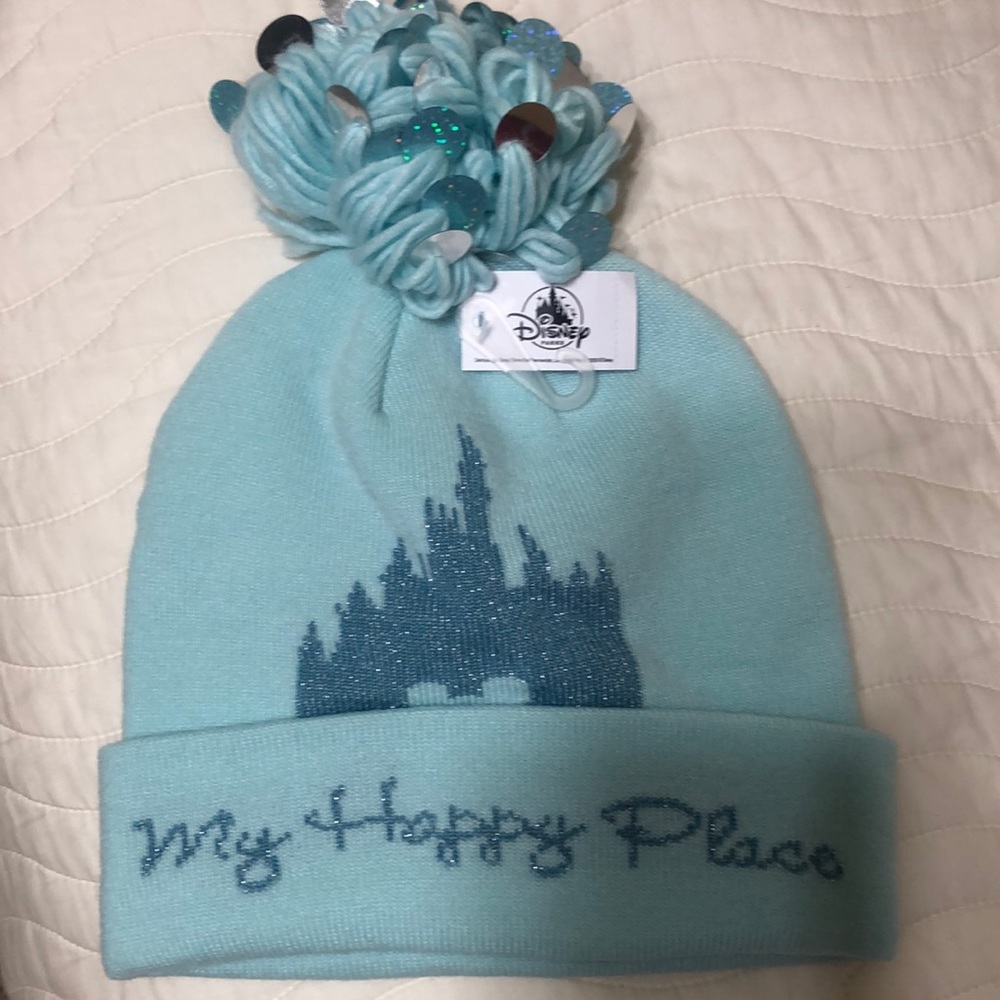 Disney parks hat
